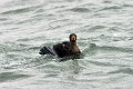 05 01 00_9381_edited-2